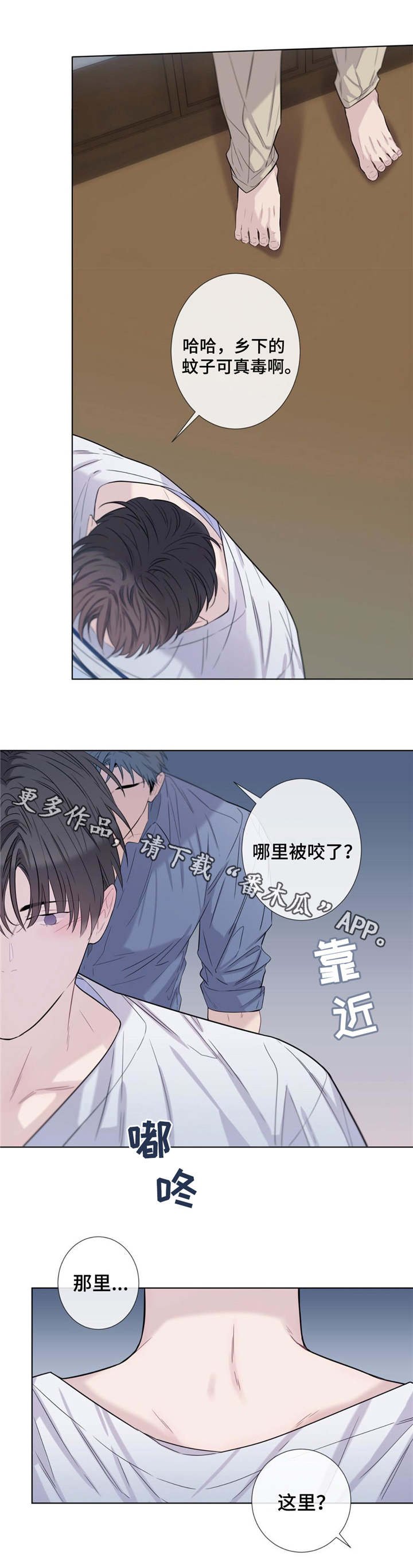 第19章：毒蚊子