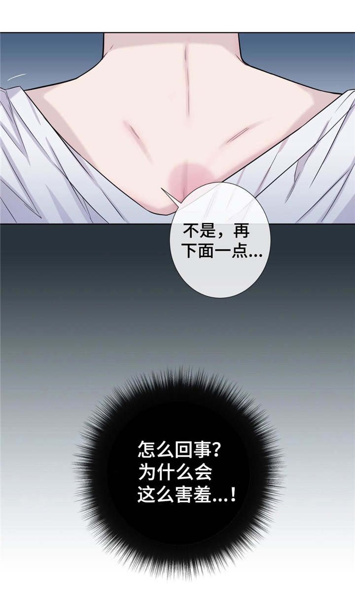 第19章：毒蚊子