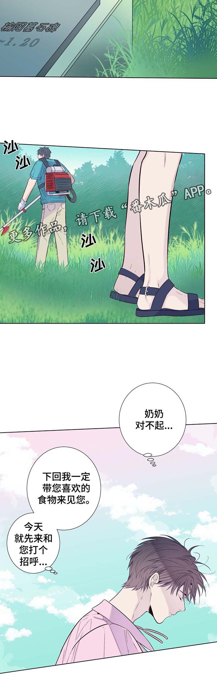 第28章：扫墓