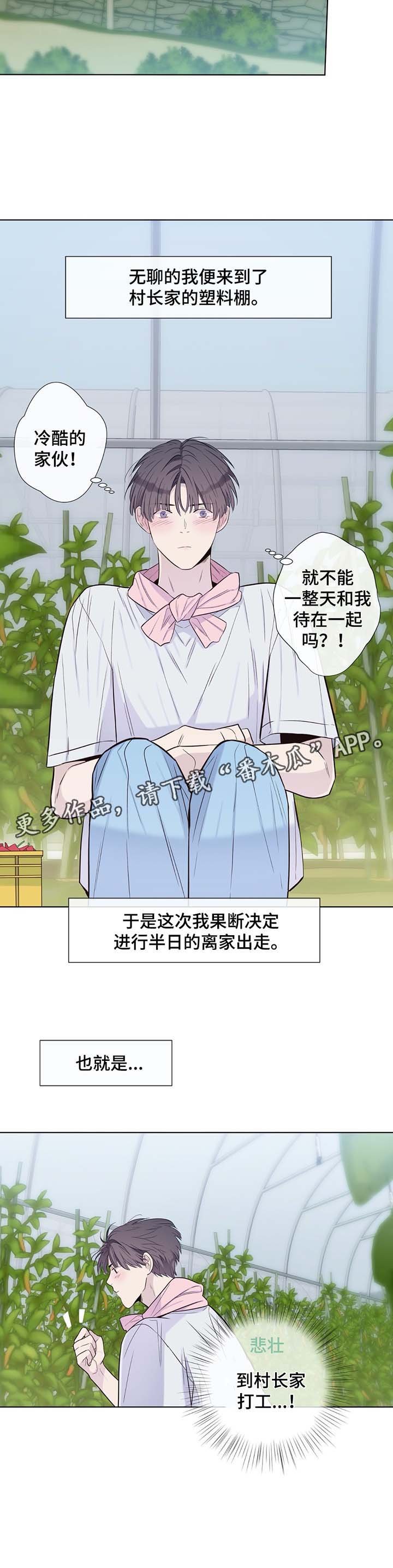 第30章：收获辣椒