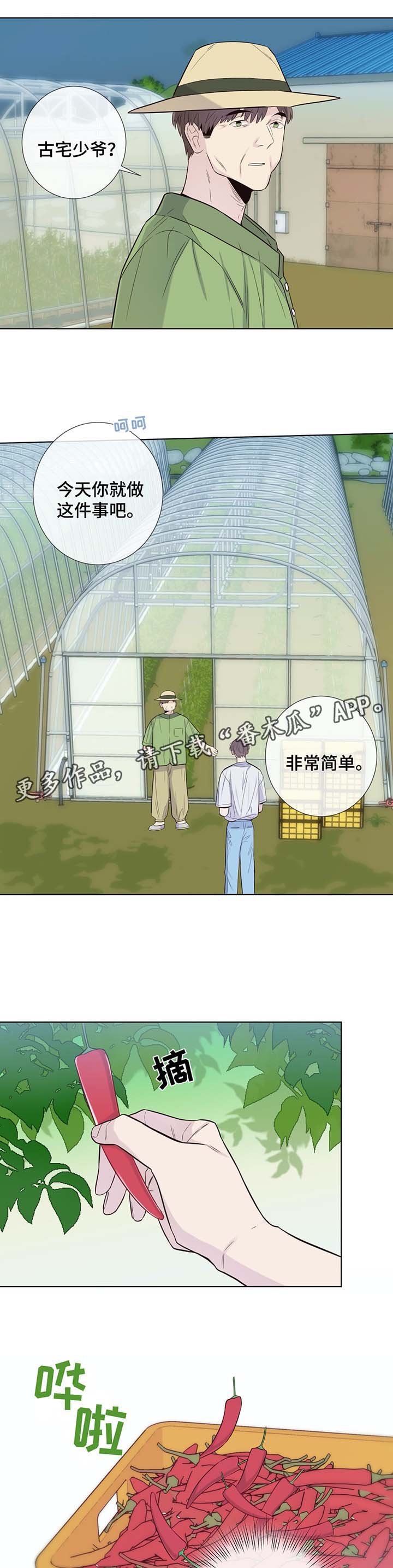 第30章：收获辣椒