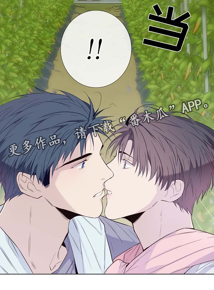 第30章：收获辣椒