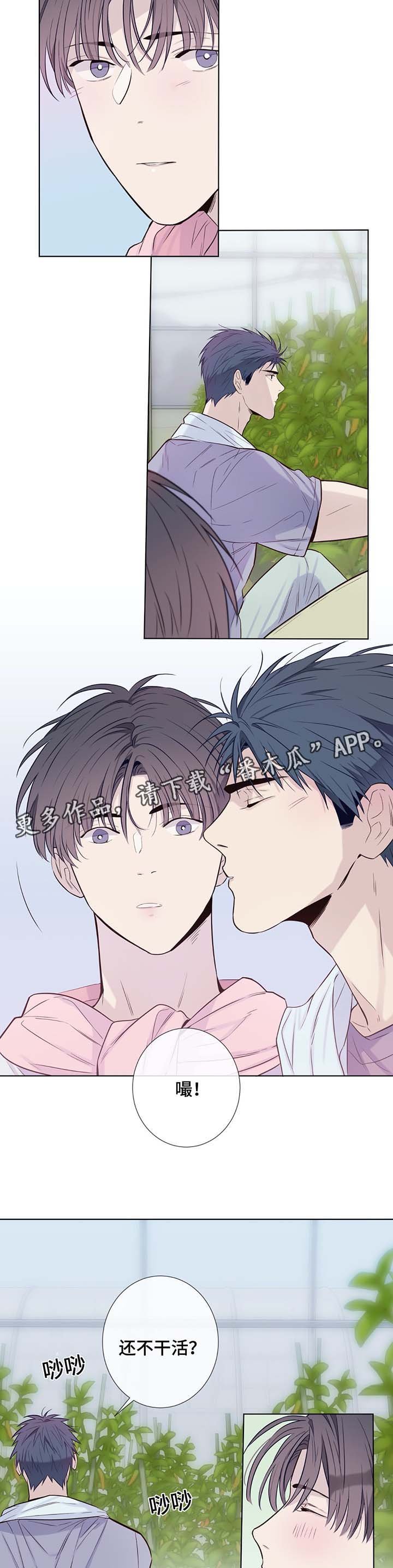 第31章：晕倒