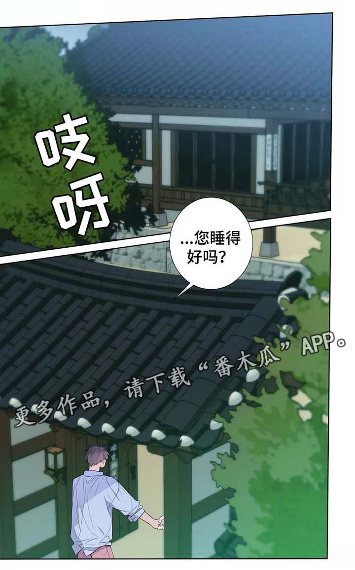 第37章：未来打算