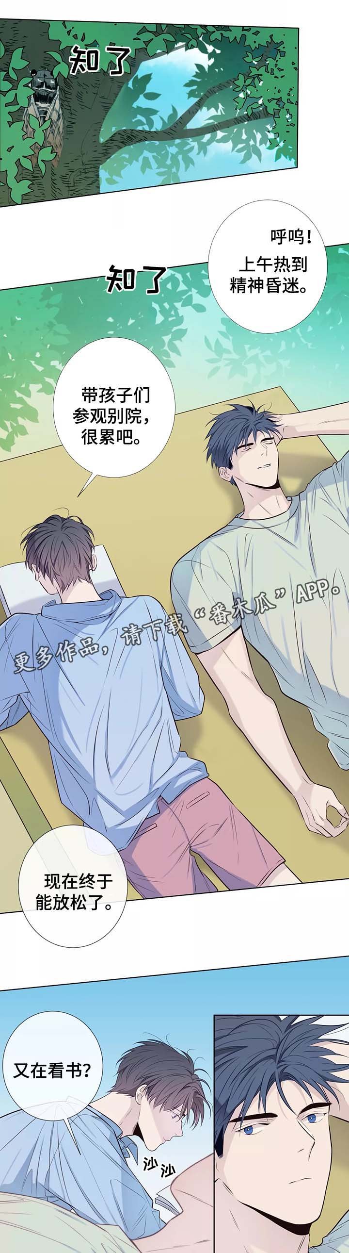 第37章：未来打算