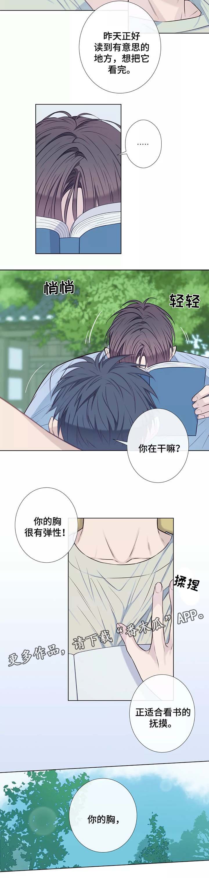 第37章：未来打算