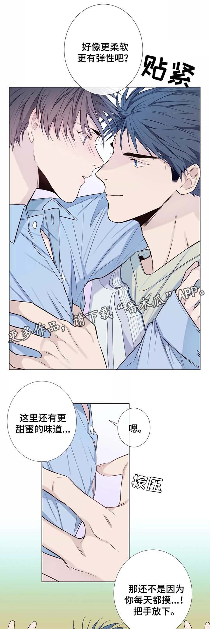 第37章：未来打算