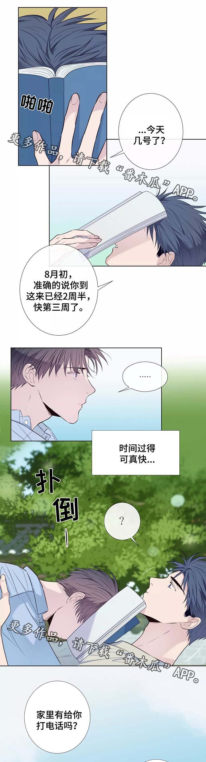第37章：未来打算