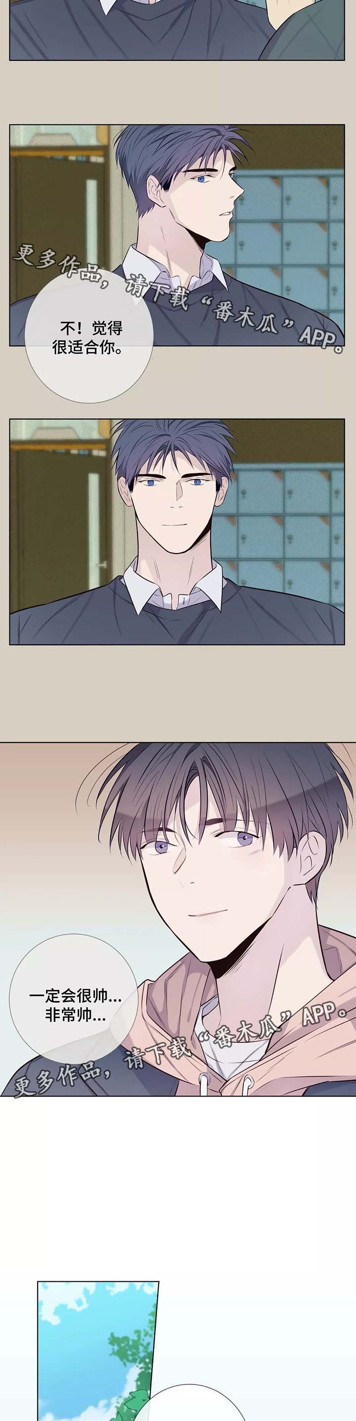 第37章：未来打算