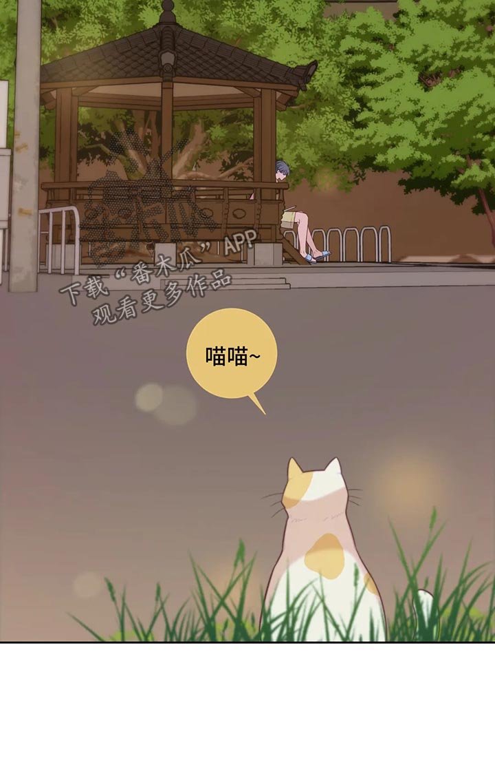 第49章：关系渐冷