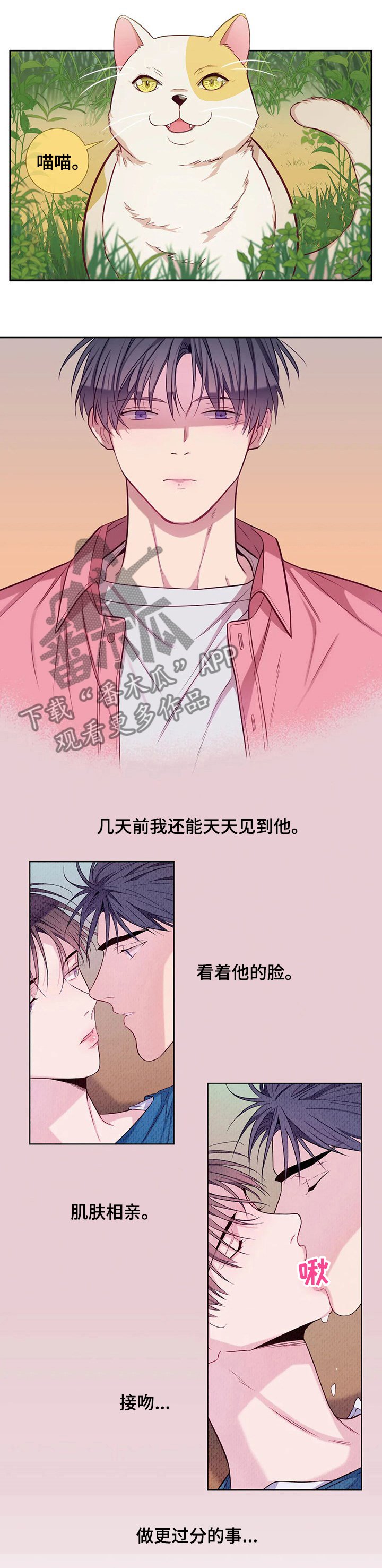 第52章： 别躲着我