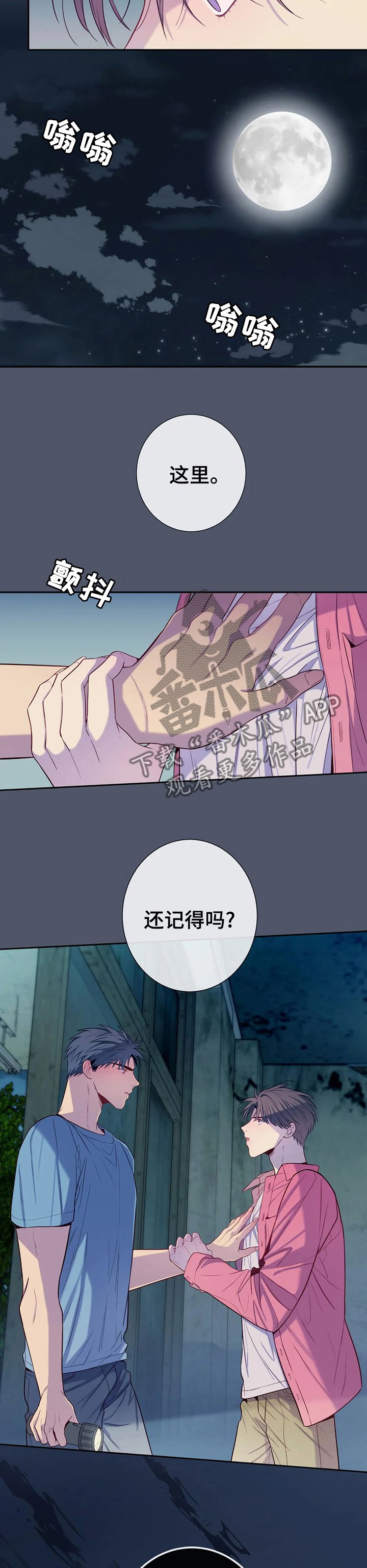第54章：小小的成功