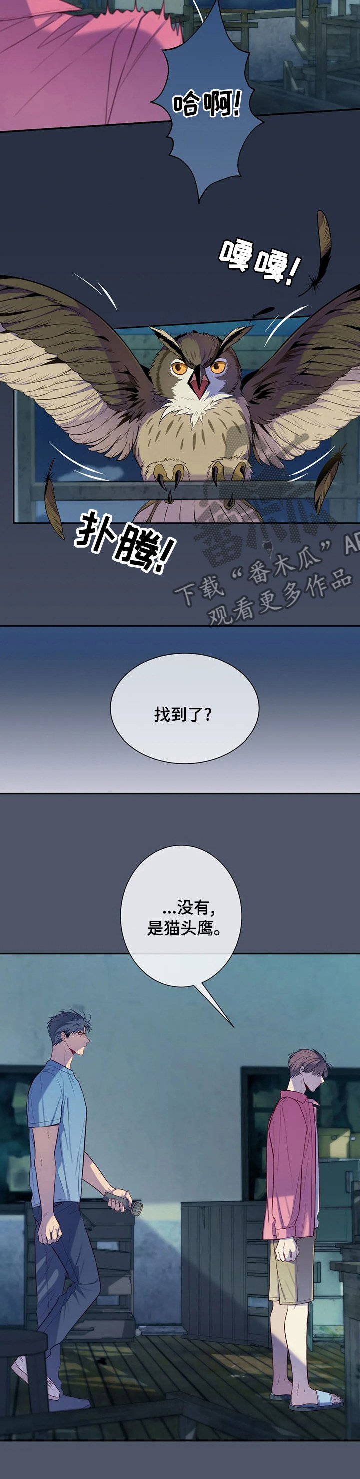 第54章：小小的成功