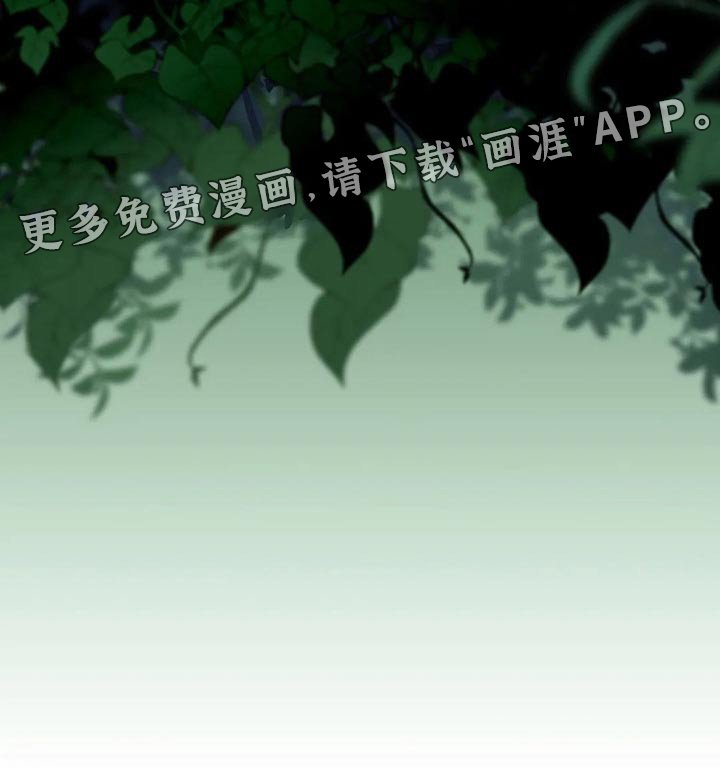 第79章：解释