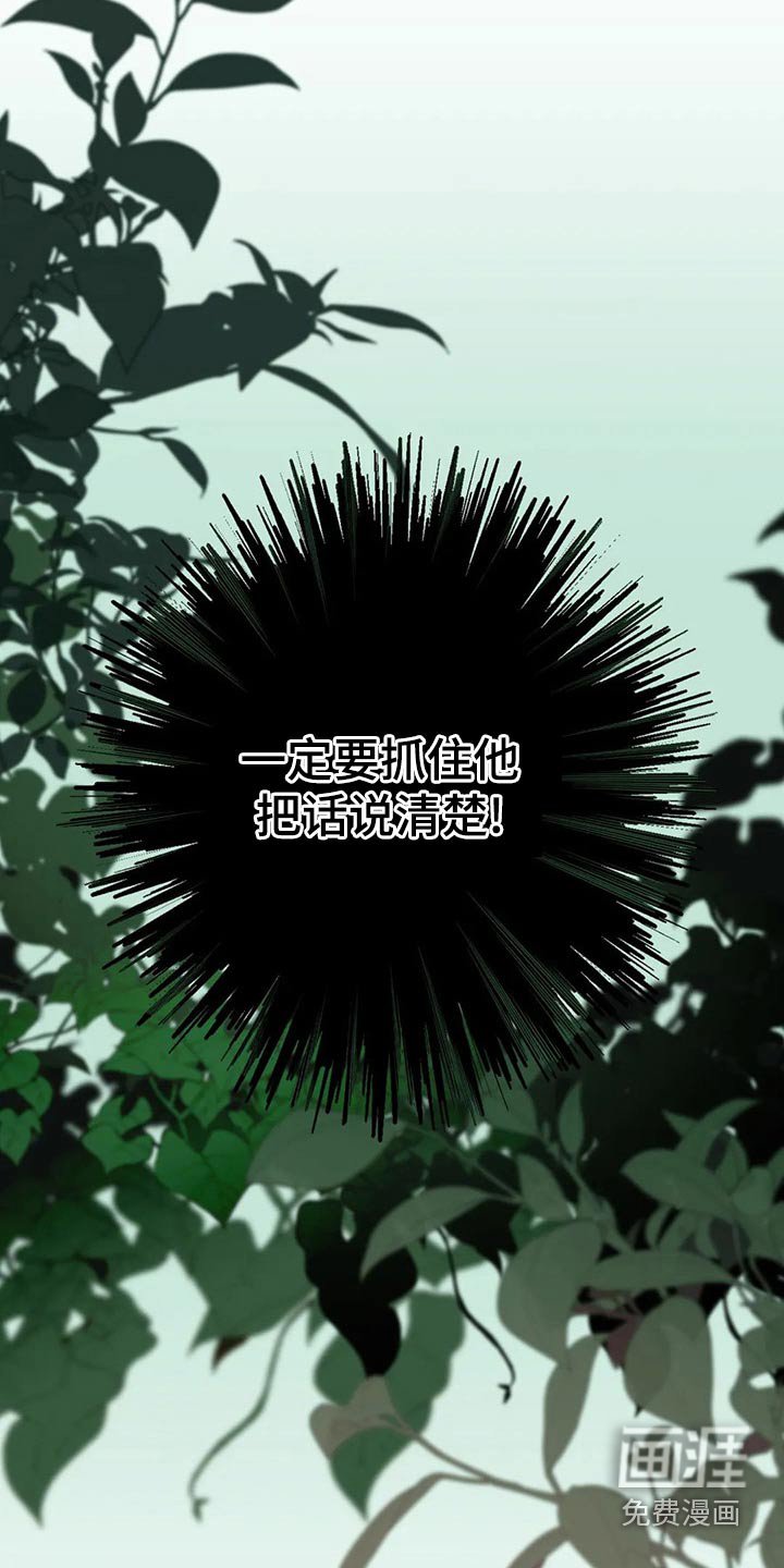 第80章：看星星