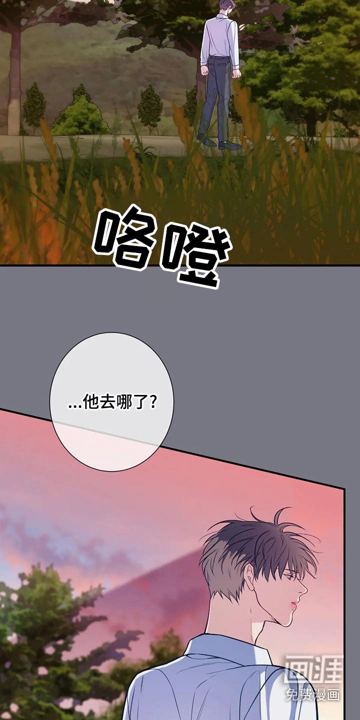 第80章：看星星