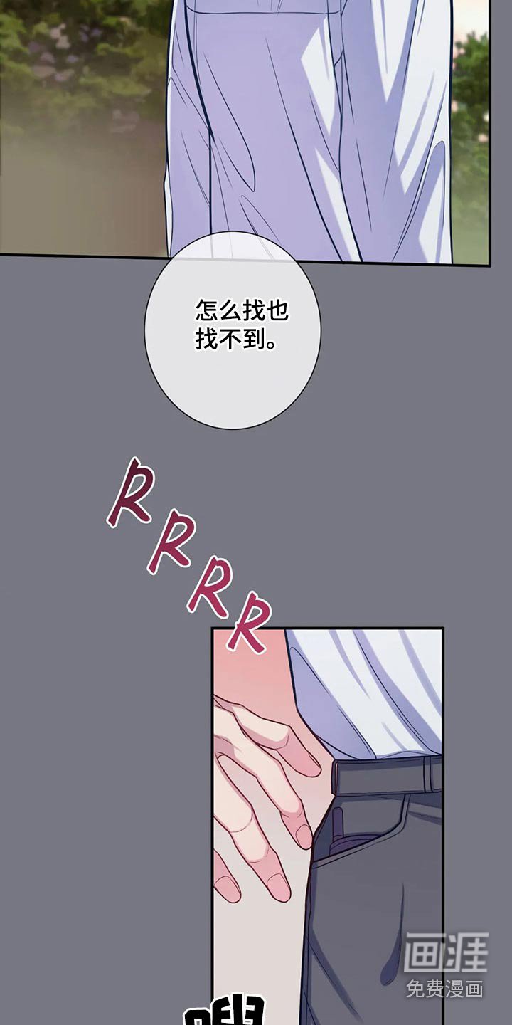 第80章：看星星