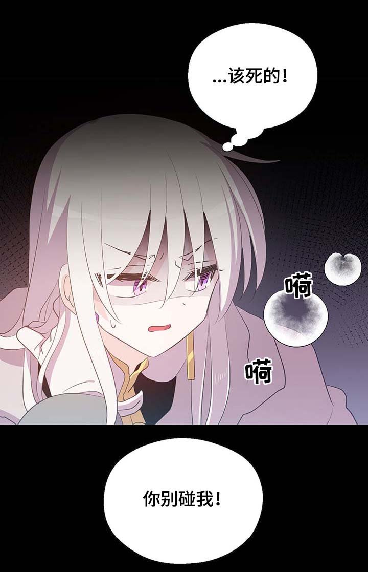 第101章：沉默的马车