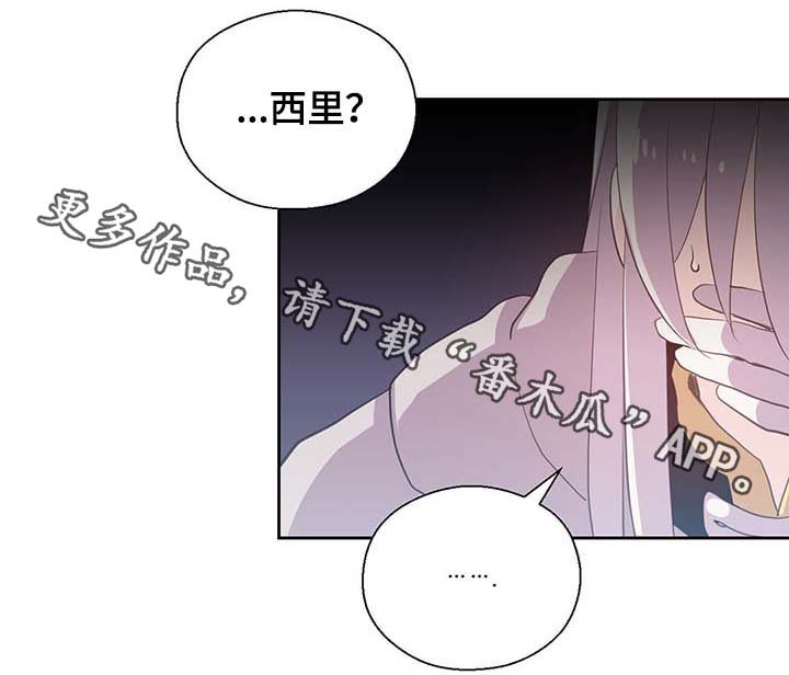 第106章：重设结界