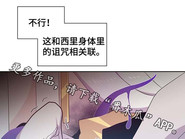 第106章：重设结界