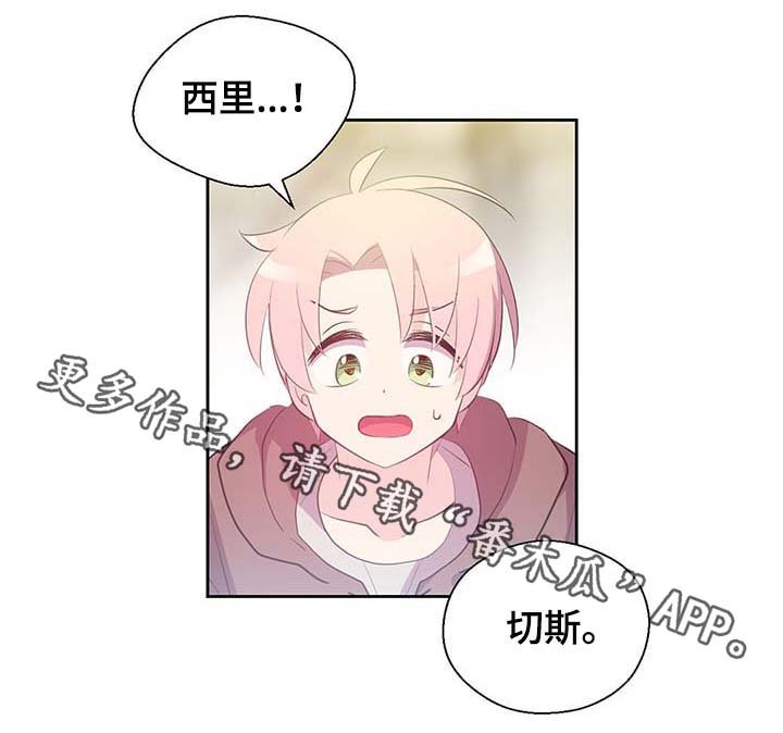 第107章：永远不再见你