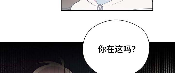 第108章：都是真的