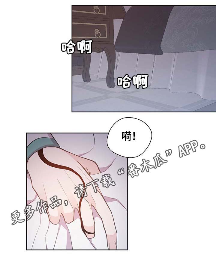 第111章：是什么理由