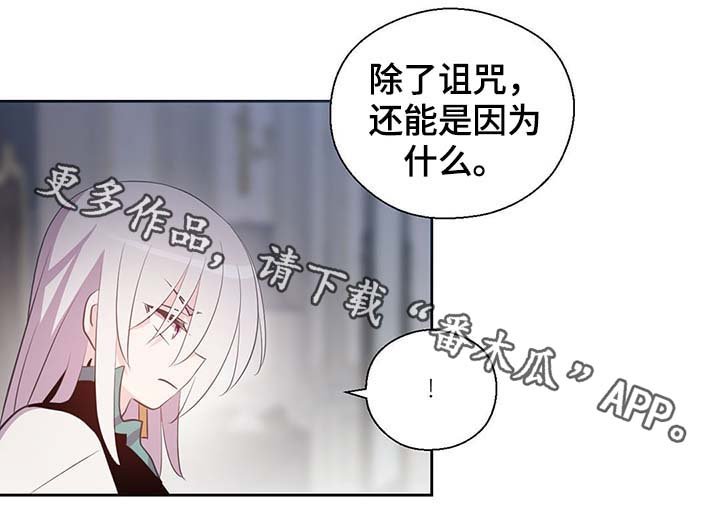 第111章：是什么理由