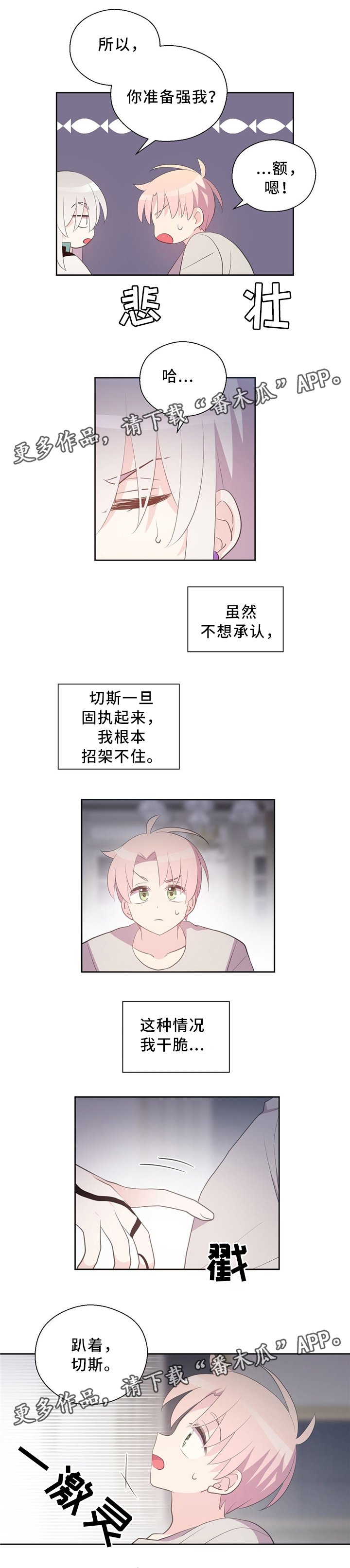 第114章：抱歉