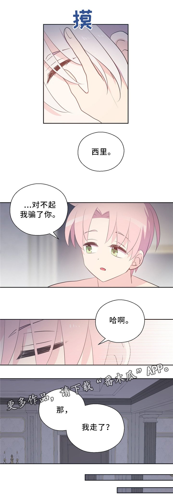 第114章：抱歉