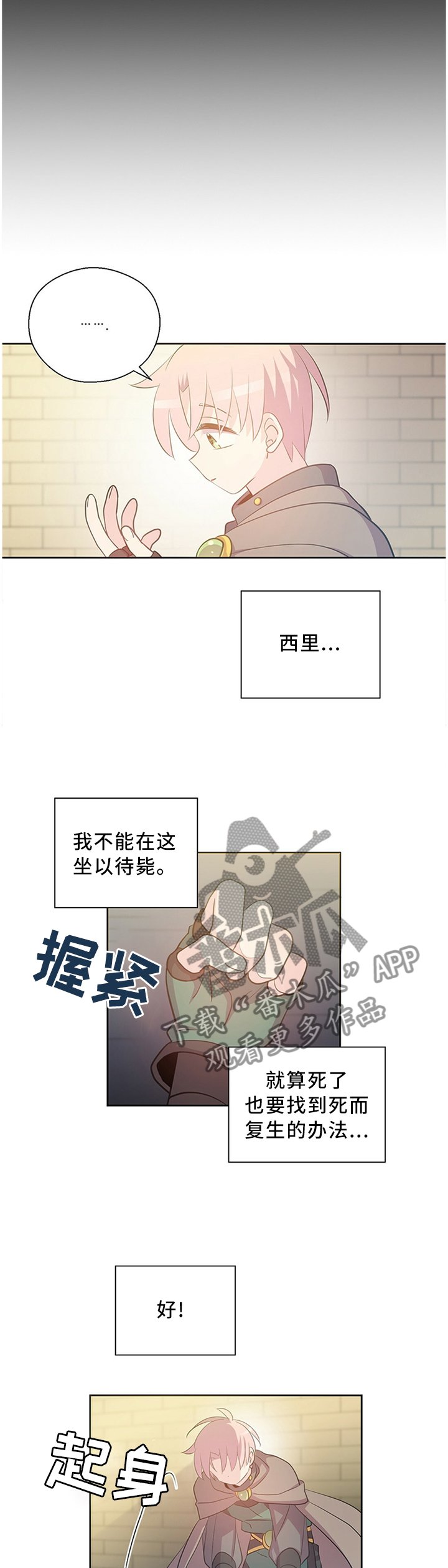 第133章：迷宫