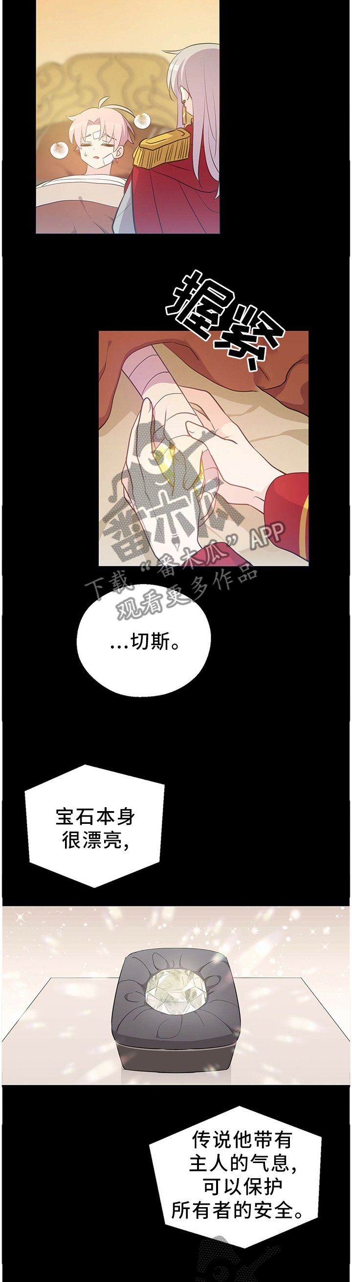 第135章：宝石