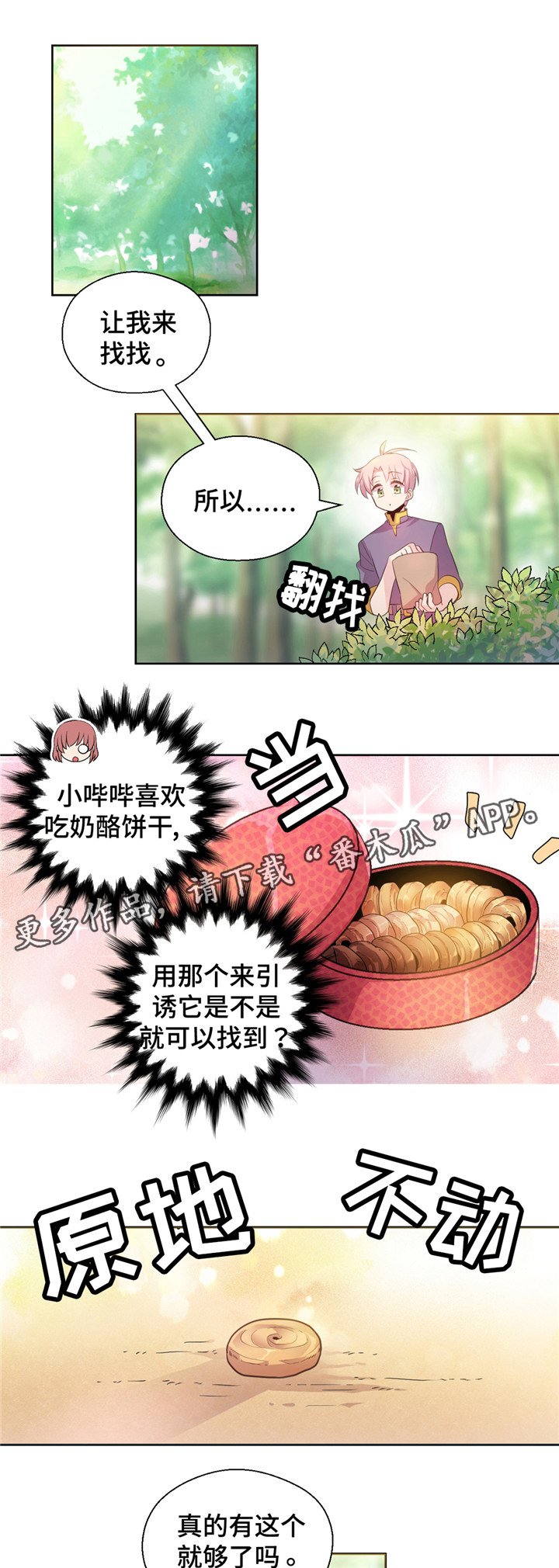 第19章：抓霸王龙