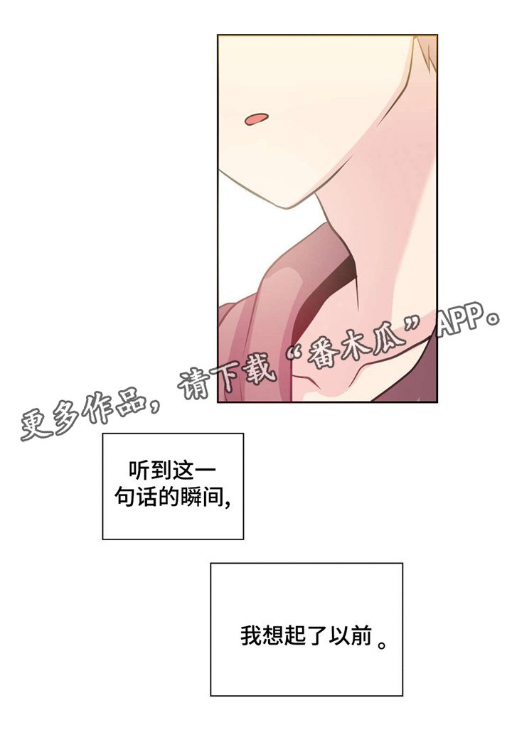 第25章：抓捕经过