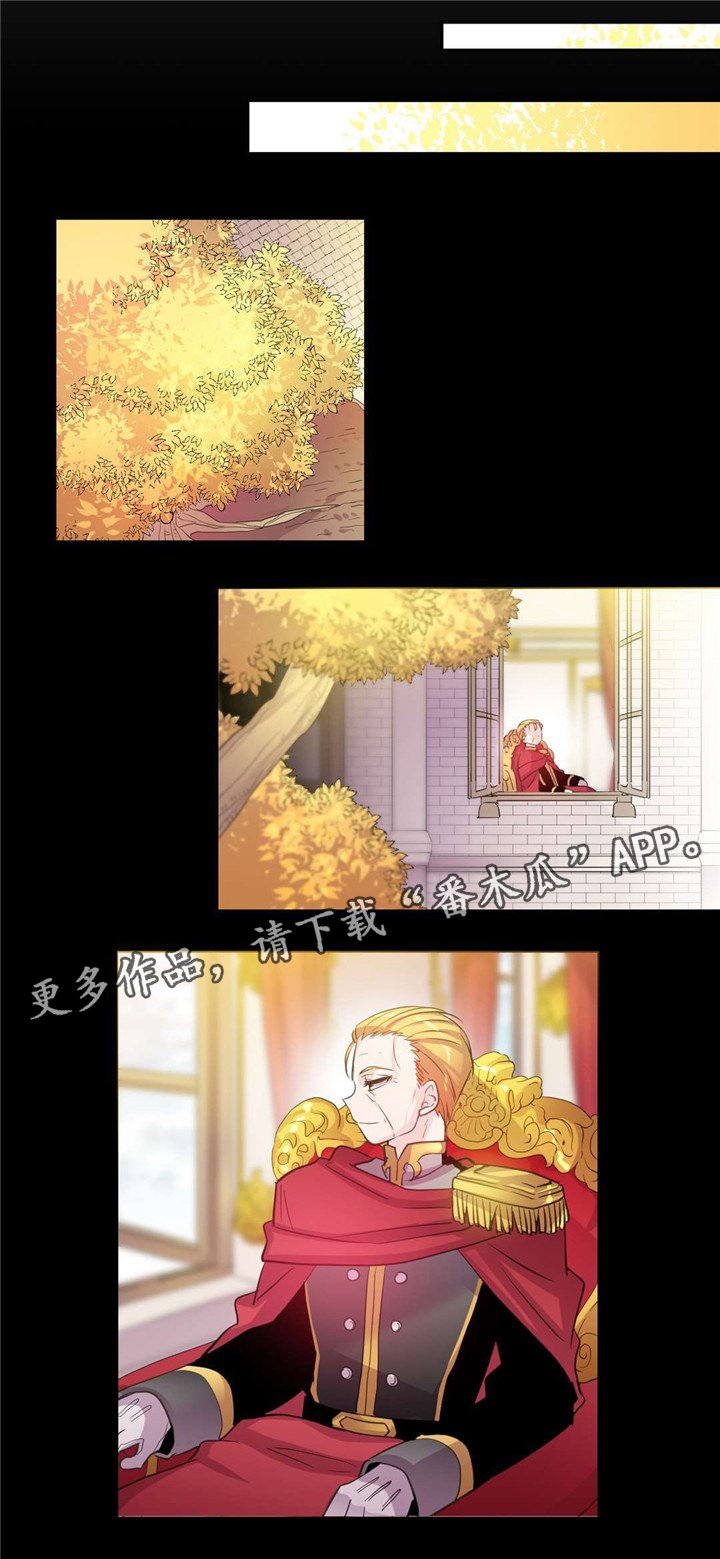 第25章：抓捕经过