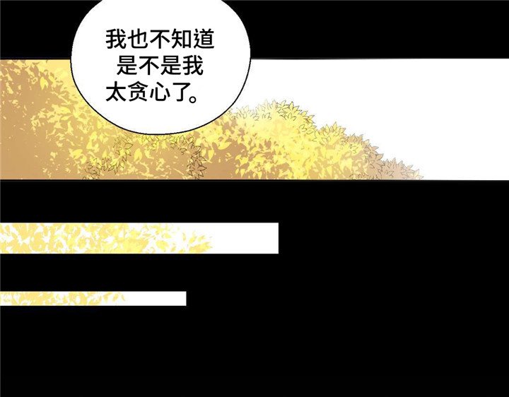 第26章：不走远