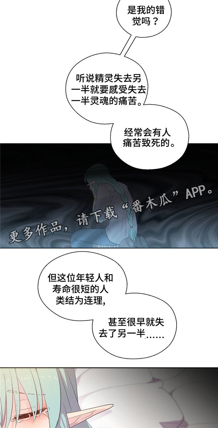 第54章：生病的精灵
