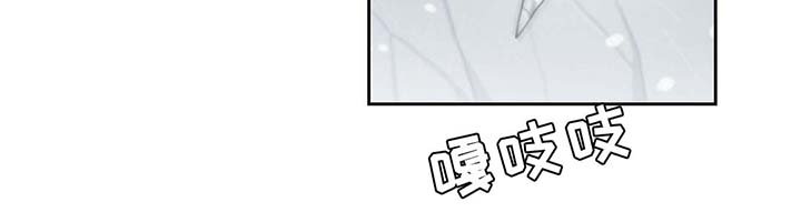 第80章：催眠花粉
