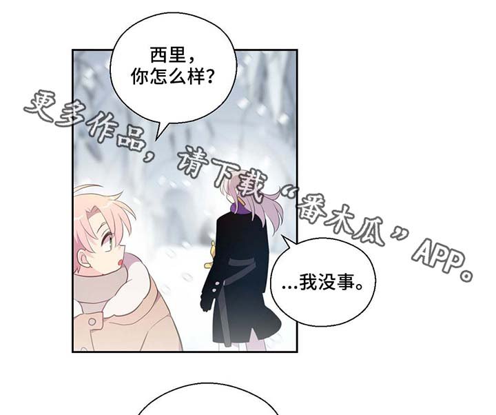 第80章：催眠花粉
