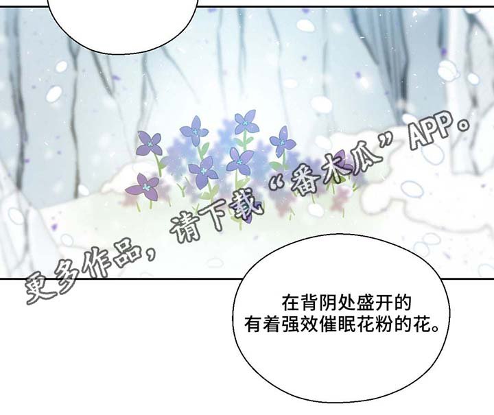 第80章：催眠花粉