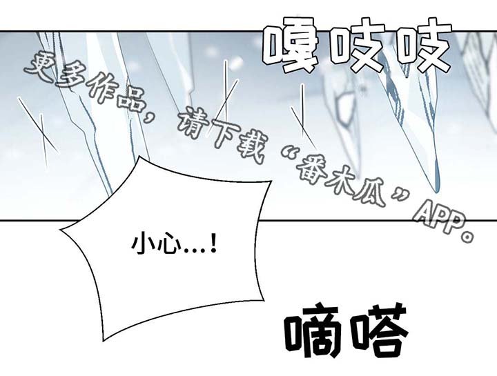 第80章：催眠花粉