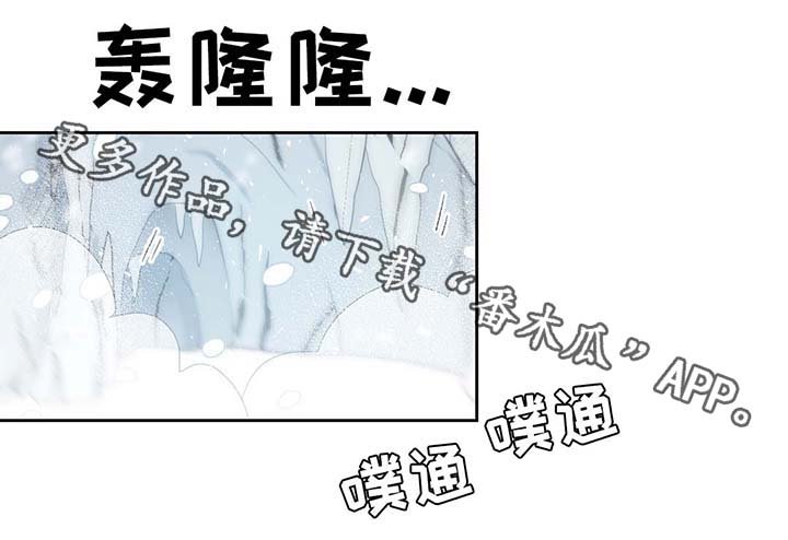 第81章：那条龙