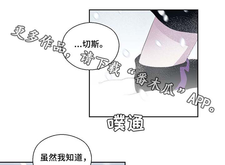 第81章：那条龙