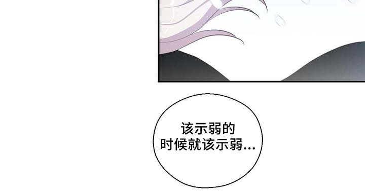 第81章：那条龙