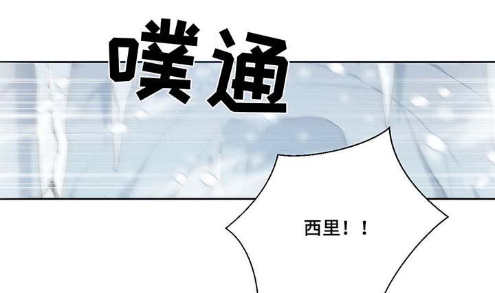 第81章：那条龙