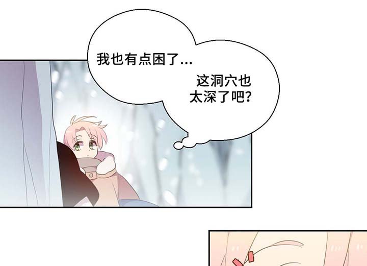 第81章：那条龙