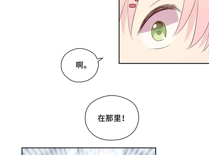 第81章：那条龙