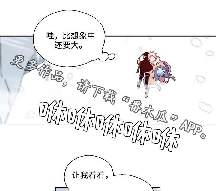 第81章：那条龙