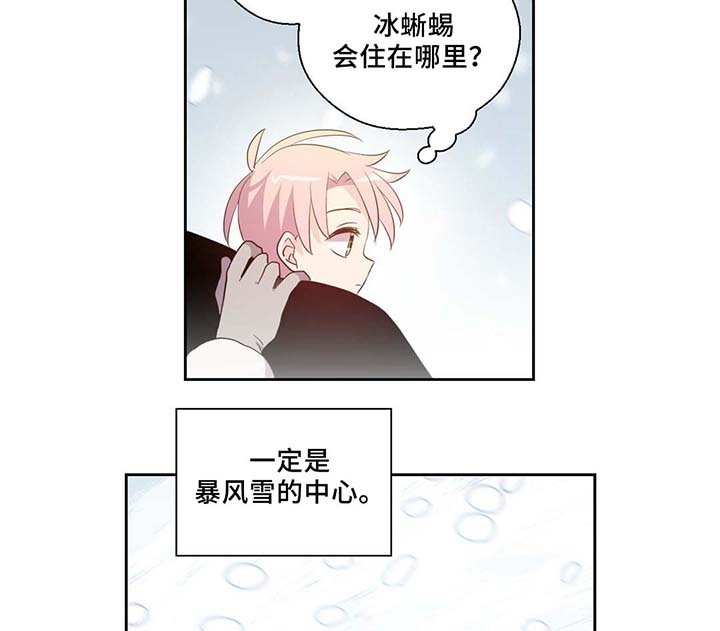 第81章：那条龙
