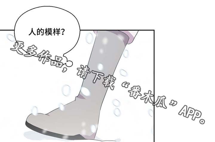 第81章：那条龙